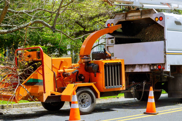 Best Tree Preservation Services  in Haw River, NC